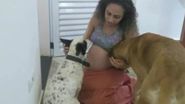 TERIFIANT! Două gemene nou-născute, sfâșiate de un labrador gelos! 