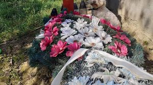 Apel către umanitate