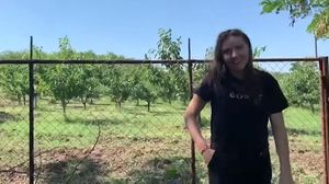 Vulpița s-a întors la Blăgești