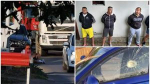 Atacatorii fratelui Alinei Pană