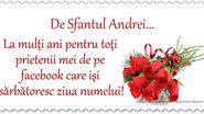Mesaje, SMS-uri și felicitări de Sfântul Andrei