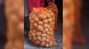 Un cartof cât o grenadă