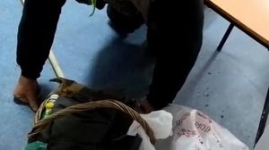 Imagini revoltătoare au fost surprinse la Spitalul Orășenesc din Corabia