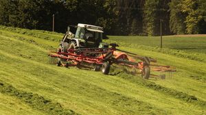 Noul fermier 2021. Cei care vor da startul afacerilor în agricultură pot primi până la 100.000 de euro