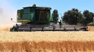 Două tinere au fost ucise de o combină în Italia