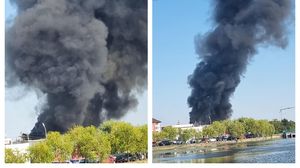 Incendiu Mogoșoaia 