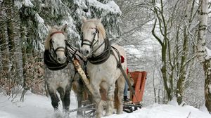Unde îți poți petrece vacanță de iarnă