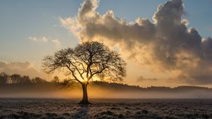 Prognoza meteo ANM, joi, 21 octombrie 2021