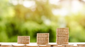 Ce salariu are un parlamentar în 2022, comparativ cu salariul minim pe economie