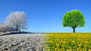 Prognoza meteo ANM, vineri, 18 februarie 2022