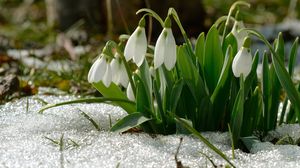 Prognoza meteo ANM, marți, 22 februarie 2022