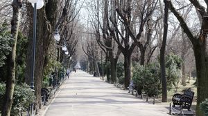 Prognoza meteo ANM, 3 - 5 martie 2022. Cum va fi vremea în țară în următoarele 3 zile. Unde va ninge