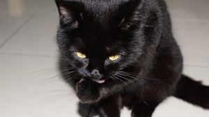 Cele mai superstitioase zodii