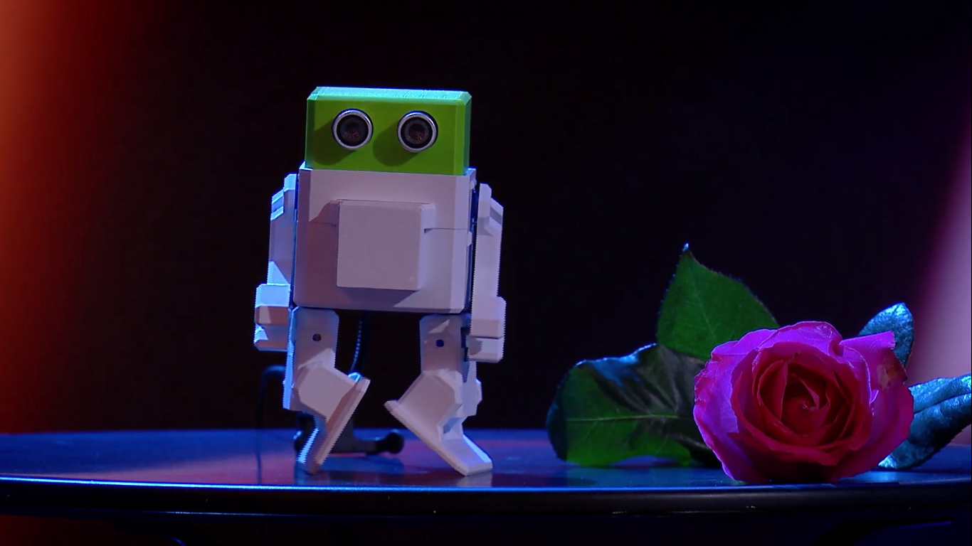 Matei Toader de la Românii au Talent, sezonul 12