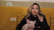 Amalia Bellantoni, acuzată că maltratează animale