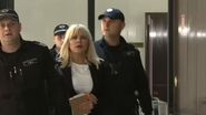 Elena Udrea susține că i-au fost încălcate grav drepturile 