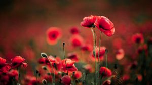 Prognoza meteo ANM, 26 - 28 mai 2022. Cum va fi vremea în următoarele 3 zile