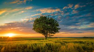 Prognoza meteo ANM 30 mai – 5 iunie. Iată cum va fi vremea în următoarea săptămână