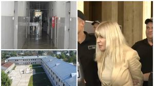 Cum va arăta celula Elenei Udrea