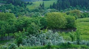 Stațiunea din România cu cel mai curat aer din România