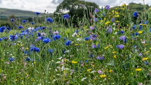 Prognoza meteo ANM, vineri, 8 iulie 2022