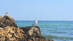 vacante accesibile pentru romani pe litoralul romanesc