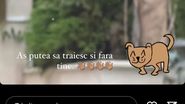 „Aș putea să trăiesc și fără tine” Adelina Pestrițu, replică neașteptată pe Instagram! Cine a supărat-o pe influenceriță