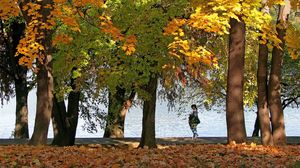 Orașul din România în care se află cel mai mare parc din țară. Colțul de natură are peste 100 de hectare