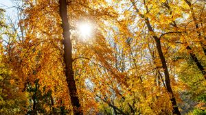 Prognoza meteo ANM, vineri, 23 septembrie 2022. Temperaturi deosebit de scăzute în toată țara