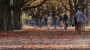 Prognoza meteo ANM, 26 septembrie - 2 octombrie 2022. Cum va arăta ultima săptămână din luna septembrie 2022 din punct de vedere meteorologic. Specialiștii anunță o răcire bruscă