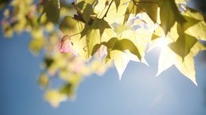 Prognoza meteo ANM, vineri, 30 septembrie 2022