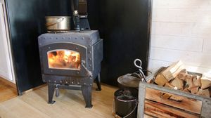 Vești bune pentru românii care folosesc lemne de foc. Ce se va întâmpla cu prețul lemnului destinat încălzirii locuințelor