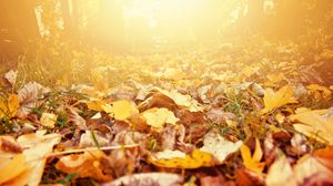 Prognoza meteo ANM, joi, 6 octombrie 2022. Vezi cum va fi vremea în fiecare regiune a țării