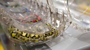 Rezultate LOTO 6/49, Joker, 5/40, Noroc