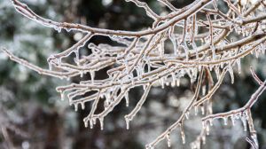 Prognoza meteo ANM, marți, 27 decembrie 2022