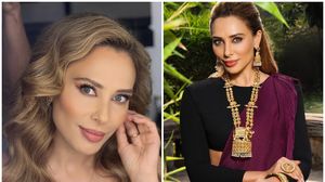 iulia vântur, fosta prezentatoare tv, salman khan, india, poreclă