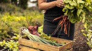 25 de reţete de post, de la aperitive până la desert