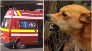 tragedie, galati, haita de caini maidanezi, sfasiata de caini