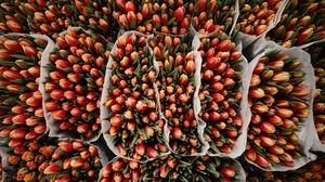 Mesaje de 1 Martie și Mărțișor