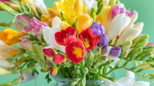 Ce flori se oferă de 8 martie