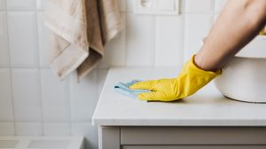 româncă, furt, austria, obiecte de valiare, curățenie, poliție, arest