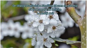 Urări de Florii. Mesaje de La Mulți Ani! Felicitări şi SMS-uri 