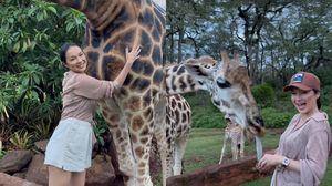 vlăduța lupău, adi rus, vacanță, imagini, fani, rețele de socializare