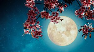 Fazele Lunii Mai 2023