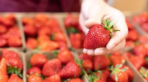 Cât costă un kilogram de căpșuni în piețele din București în 2023