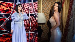 La ce facultate își dorește să dea admitere fiica Ozanei Barabancea? 