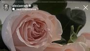 Alexia Eram a primit un superb buchet de trandafiri din partea lui Mario Fresh