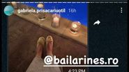 Gabriela Prisăcariu, surpriză pentru invitați