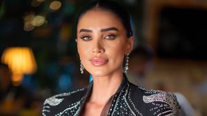 adelina pestritu, bani, casa, creatoare de continut