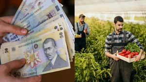 Bani de la stat pentru legumicultori 2023. Vezi aici cine beneficiază de acest ajutor